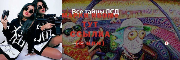МДПВ Алзамай