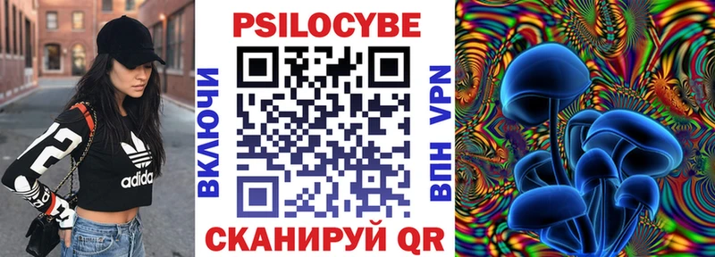 сайты даркнета состав  blacksprut ссылки  Снежногорск  Галлюциногенные грибы Psilocybine cubensis 